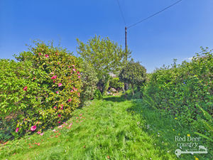 Garden- click for photo gallery